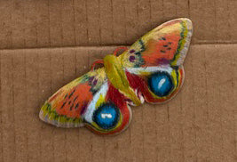 Yellow Moth